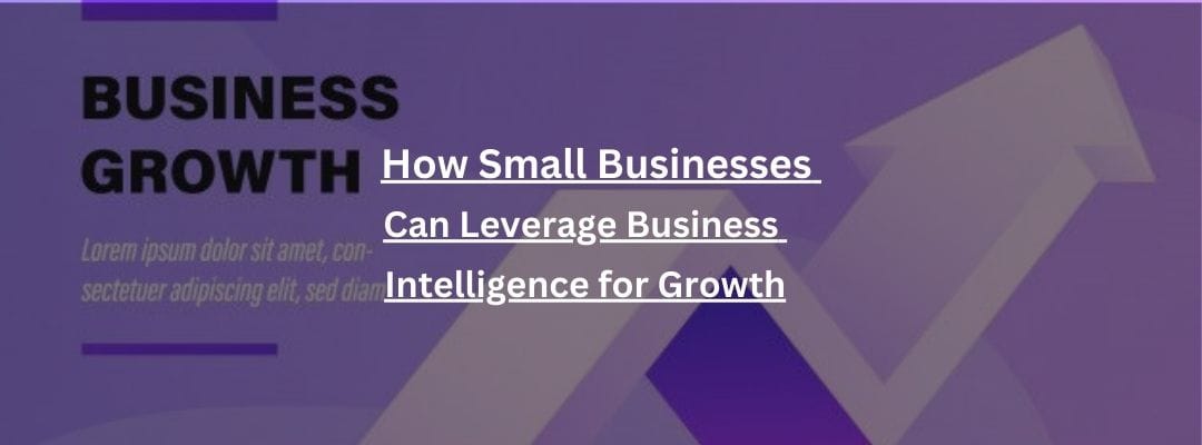 How Small Businesses Can Leverage Business Intelligence for Growth