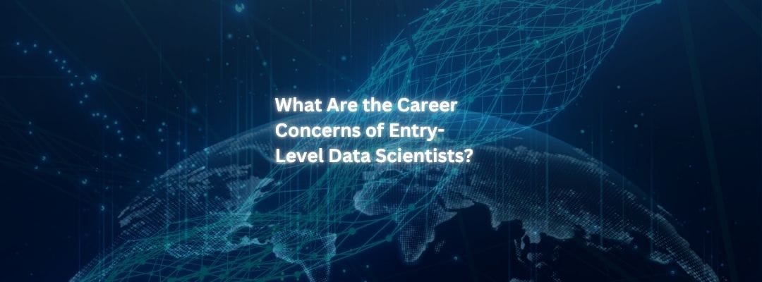 What Are the Career Concerns of Entry-Level Data Scientists?