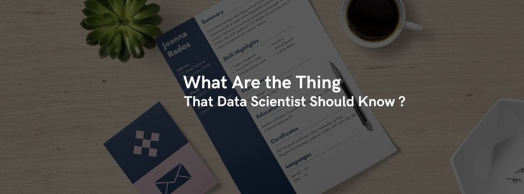 What Are the Things That an Ideal Data Scientist Should Know?