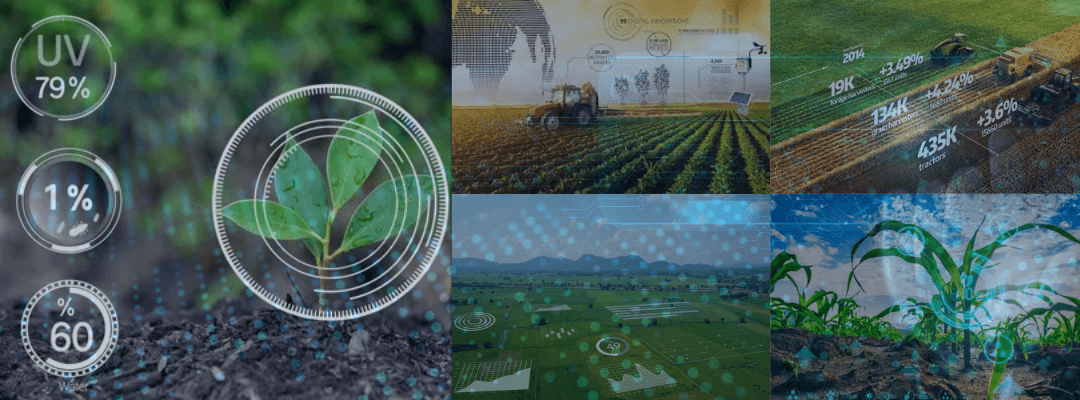 The Impact of Data Science on India’s Agriculture Sector: Improving Efficiency and Yield